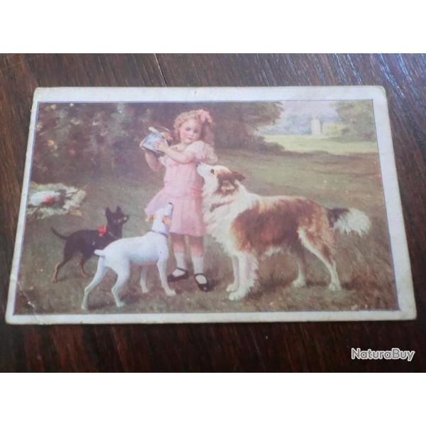 CP  SCENES  ANIMALIERES