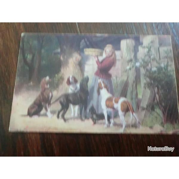 CP  SCENES  ANIMALIERES I