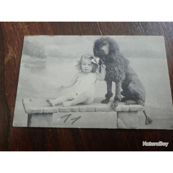 CP  SCENES  ANIMALIERES  CANICHE