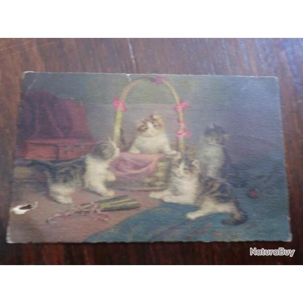 CP  SCENE  ANIMALIERS CHATONS