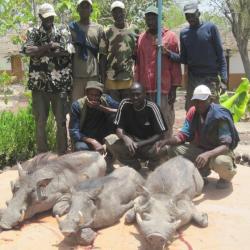 S&Eacute;JOUR CHASSE S&Eacute;N&Eacute;GAL / GAMBIE - LE GUIB CAMPEMENT DU MINAN
