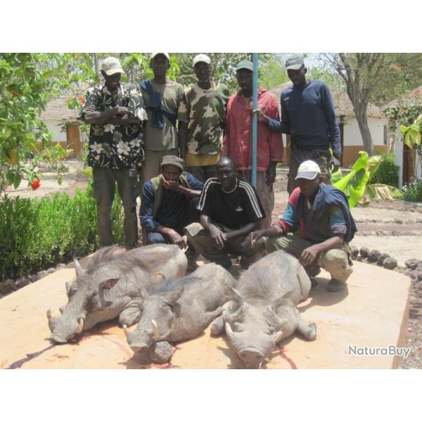 S�JOUR CHASSE S�N�GAL / GAMBIE - LE GUIB CAMPEMENT DU MINAN