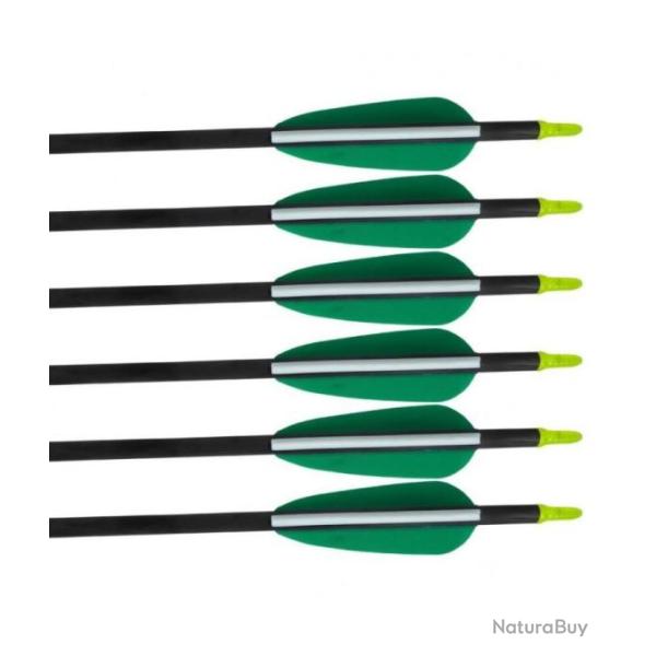 6 FL�CHES CARBONE 470