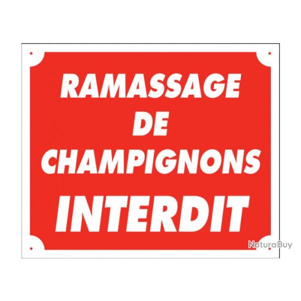DESTOCKAGE Panneau Ramassage de champignons interdit en akylux - 25x30 cm Januel