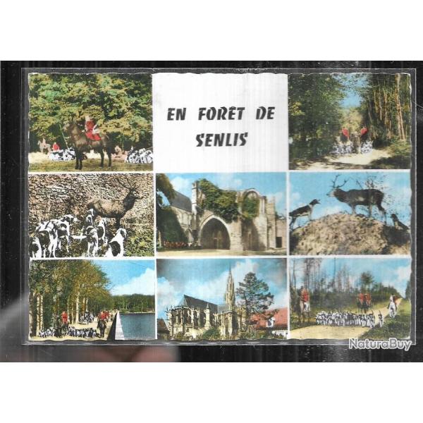 en foret de senlis multivues  meute , chasse � courre, �quipage, v�nerie , chiens , chasse