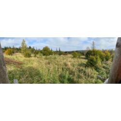 Part de chasse aff&ucirc;t - battues - approche