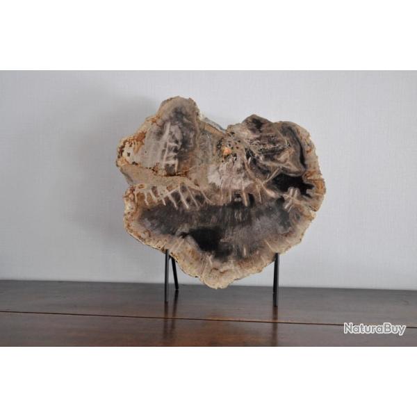 Tranche extra large de bois p�trifi� - Avec socle.