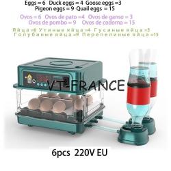 Incubateur Oeuf Automatique Pro -6 Oeufs 20260729082517