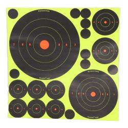 Cibles Shoot-N-C mix 50 cibles et pastilles Birchwood Casey