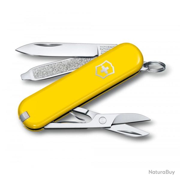 Victorinox - Classic Sd - Sunny Side - 0.6223.8G