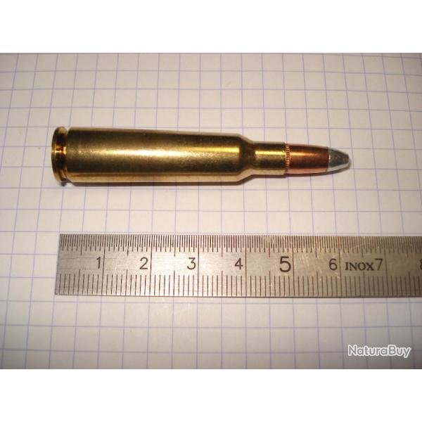 une cartouche de 250 savage ogive silvertip pour collection