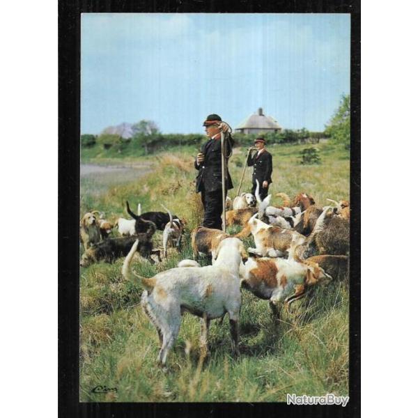 la meute au rendez-vous, chasse � courre carte postale moderne