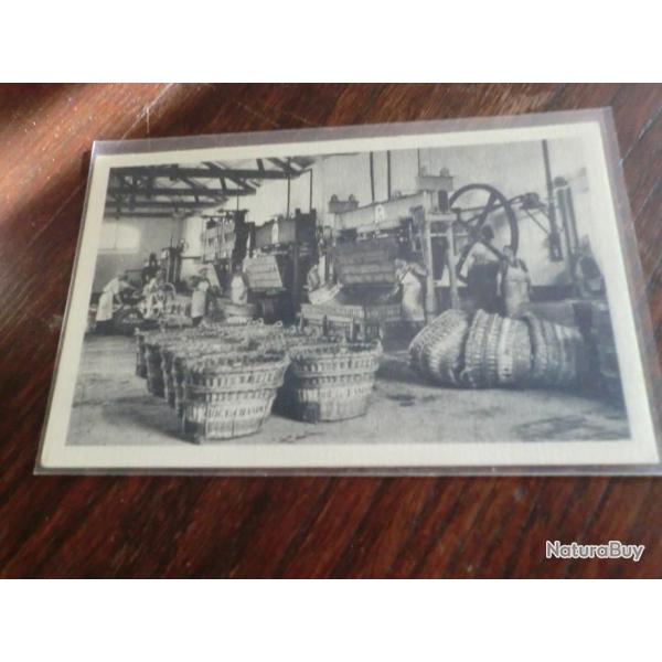 CP  dpt  51 LE VENDANGEOIR  MAISON A BOUZY