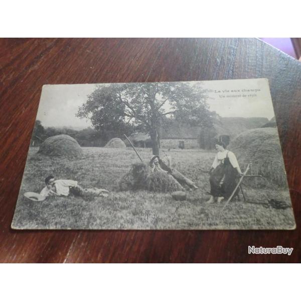 CP  dpt  51  LA VIE AUX CHAMPS