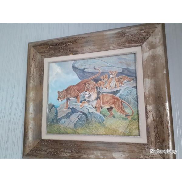 Les lions dans le d�sert