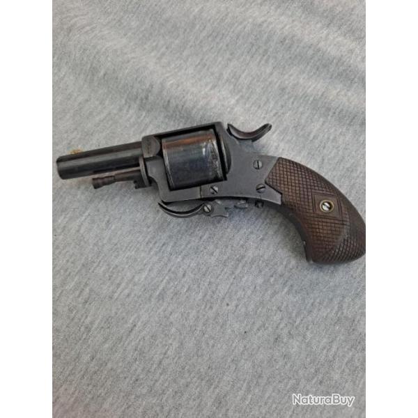 Tres joli bulldog belge je pense en cal 320