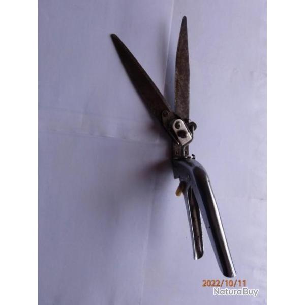 Cisaille coupe bordure pour jardinage.