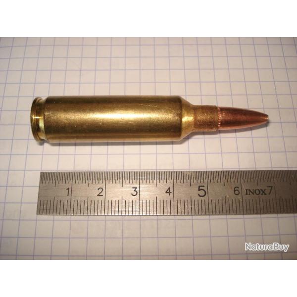 une cartouche de 270 WSM marque Remington, ogive demi blind�e, pour collection