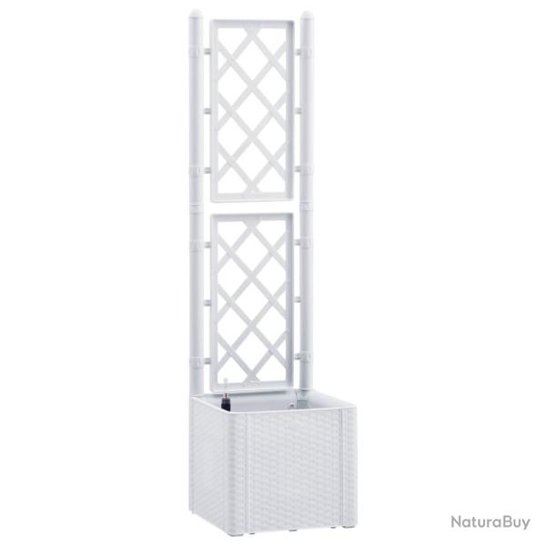 Jardini�re lit sur�lev� plantes fleurs jardin et treillis et syst�me d'arrosage blanc 02_0001203