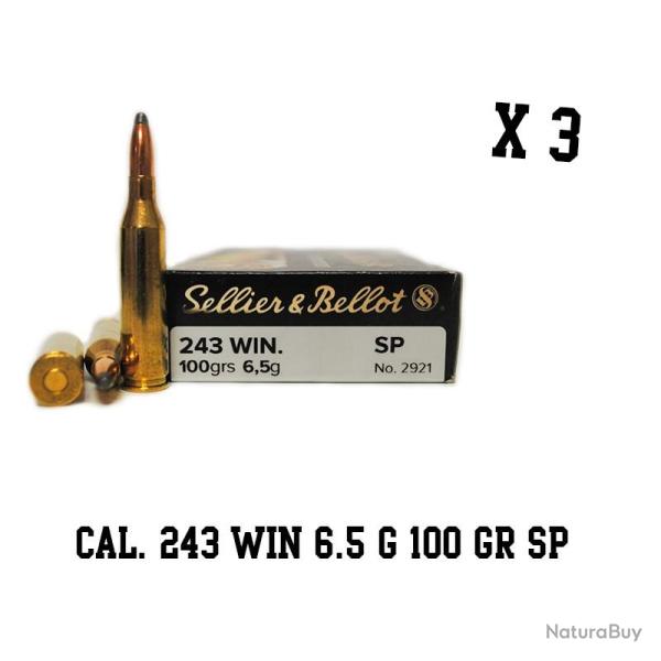 Munitions SELLIER BELLOT calibre 243 Win 100gr - 6.5g x60 