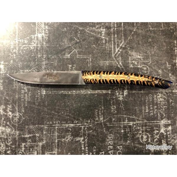 THIERS PAR LOCAU DAMAS ET PIGNE DE PIN