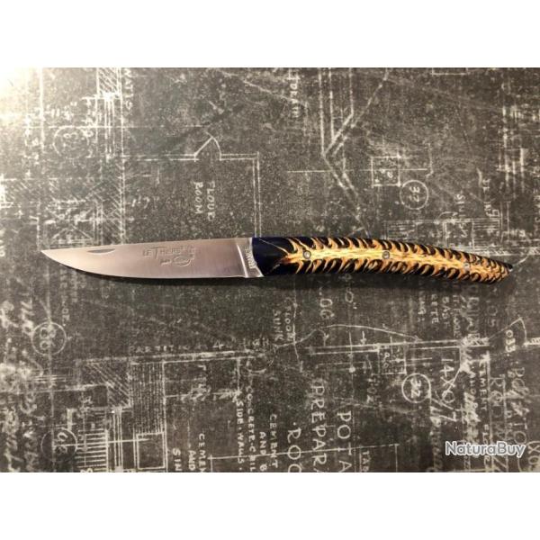 THIERS PAR LOCAU PIGNE DE PIN