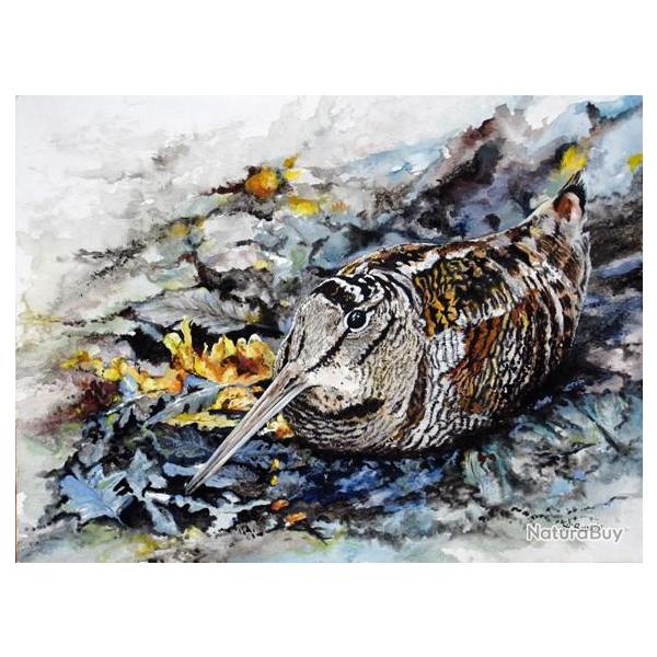 REPRODUCTION Ide "Cadeau" - Etude de Bcasse #1