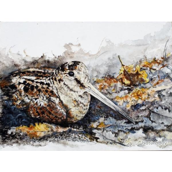 REPRODUCTION Ide "Cadeau" - Etude de Bcasse #3