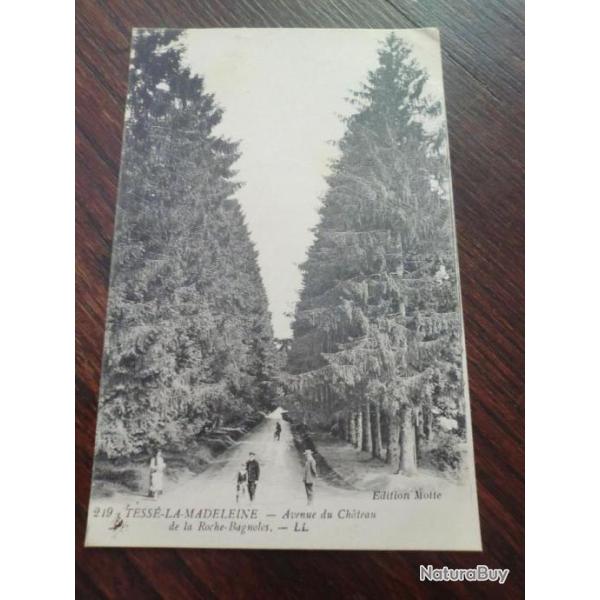 CP  dpt 61  TESSE LA MADELEINE  AV DU CHATEAU