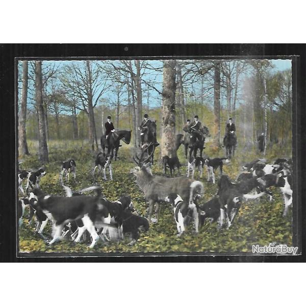 l'hallali  chasse � courre en for�t carte postale moderne