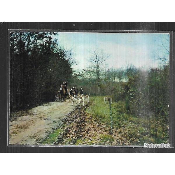 chasse � courre  carte postale moderne