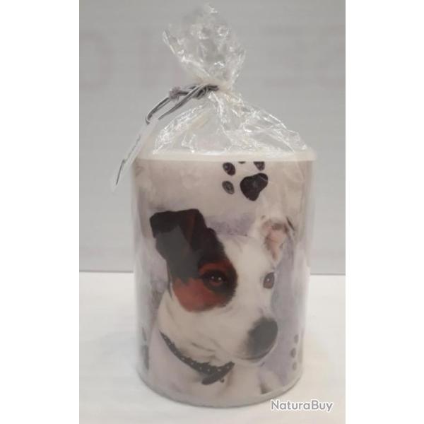 BOUGIE "FOX TERRIER"