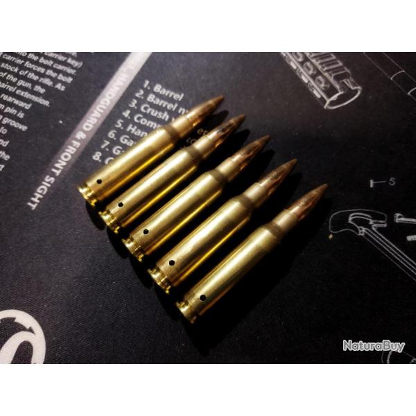 Cartouches / Munitions Neutralis�es .308 WINCHESTER (lot de 5)