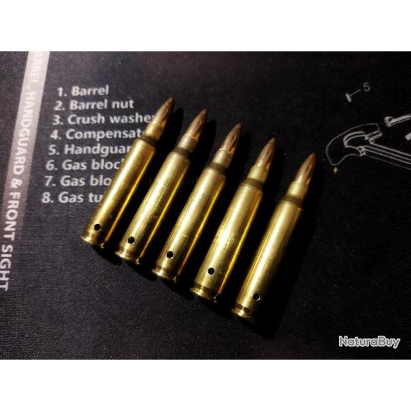 Cartouches / Munitions Neutralis�es .223 REMINGTON (lot de 5)