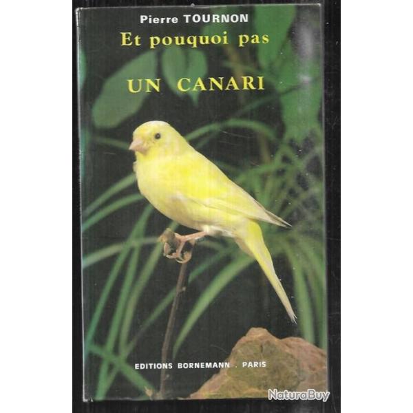et pourquoi pas un canari de pierre tournon Editions Bornemann