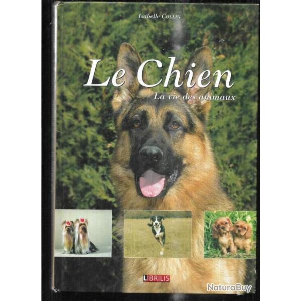 le chien , la vie des animaux par isabelle collin
