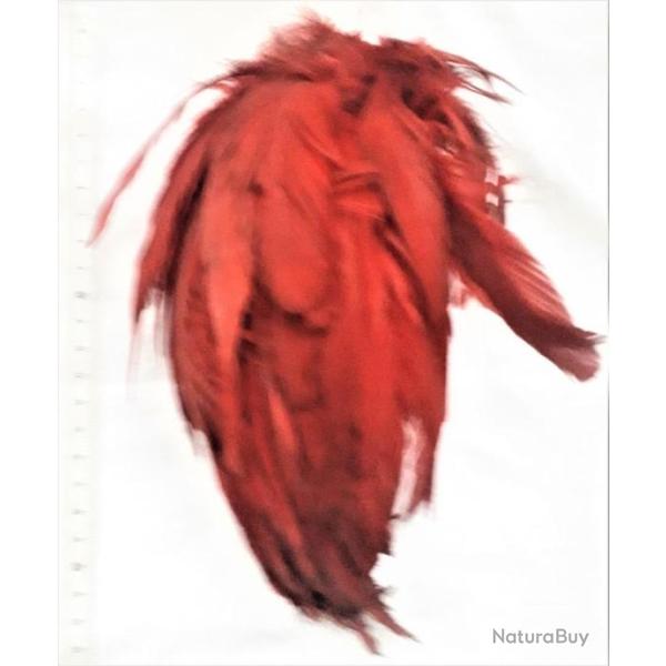 FR188710.a Plumet modle 1910