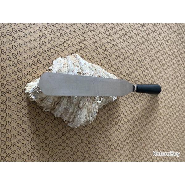 SPATULE  A NAIN   (2025  N