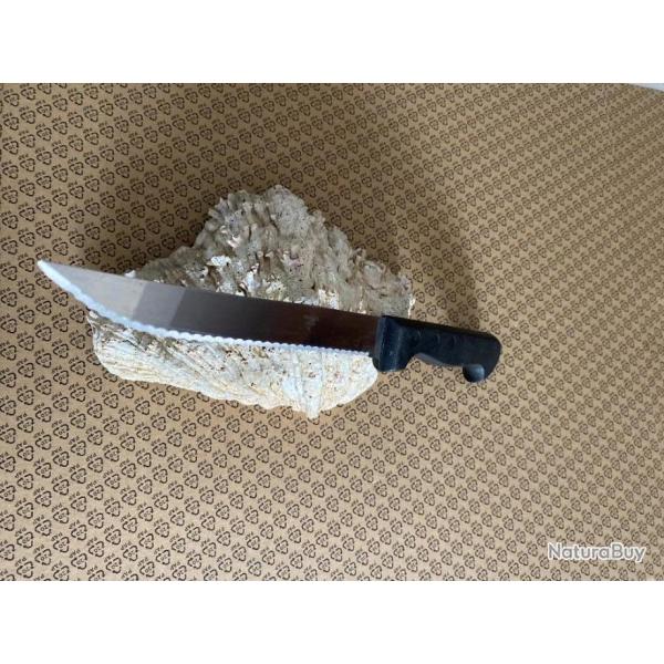 COUTEAU DE CUISINE PRADEL (2025   N