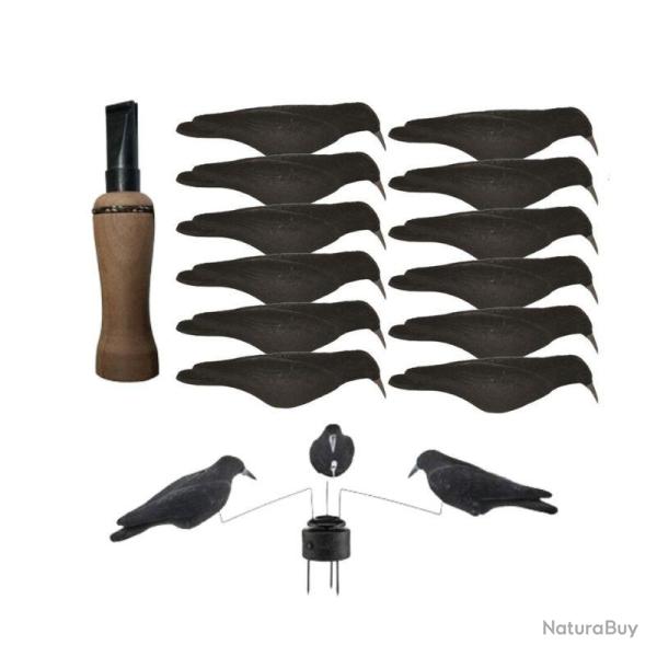 Pack Coquilles Corvid�s