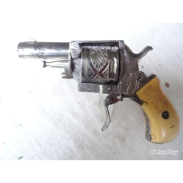 V88) magnifique bulldog grav