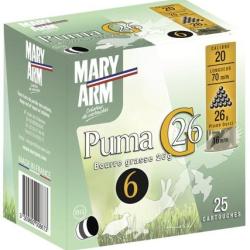 CAL 20/70 - PUMA G26 - MARY ARM 9