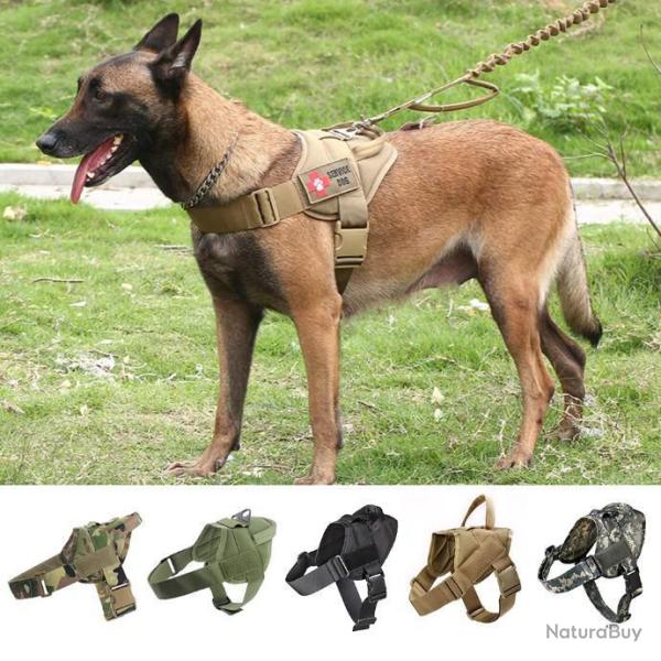 Harnais + Laisse Elastique Tactique Chien Police Militaire 5 Coloris 2 Tailles LIVRAISON OFFERTE