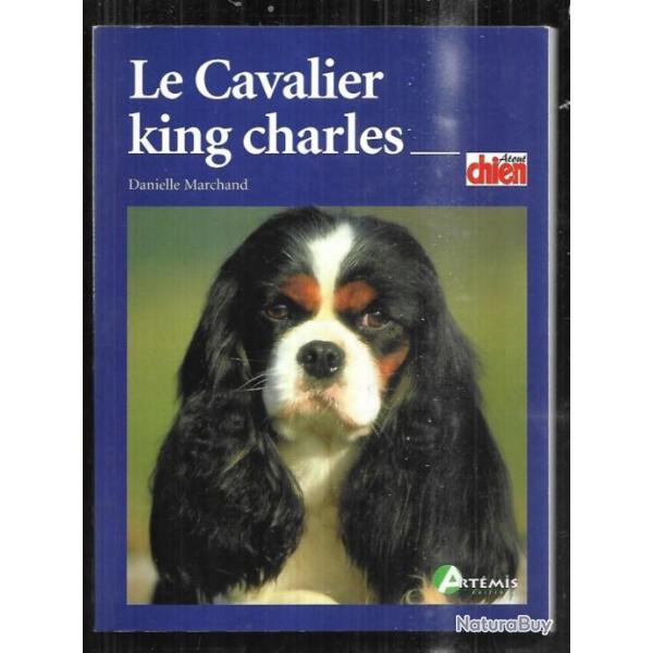 Le cavalier King charles de danielle marchand