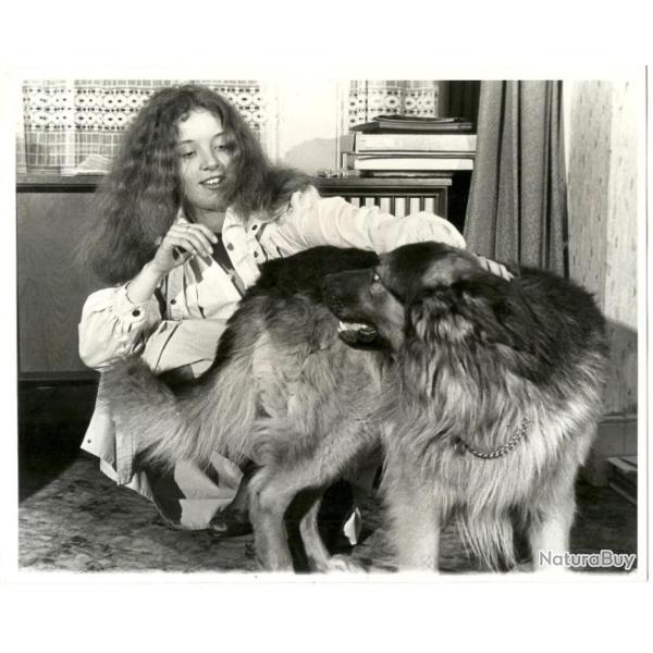 ANCIEN GRANDE PHOTO D'ART NOIR ET BLANC JEUNE FILLE ET CHIEN VINTAGE ann�es 70