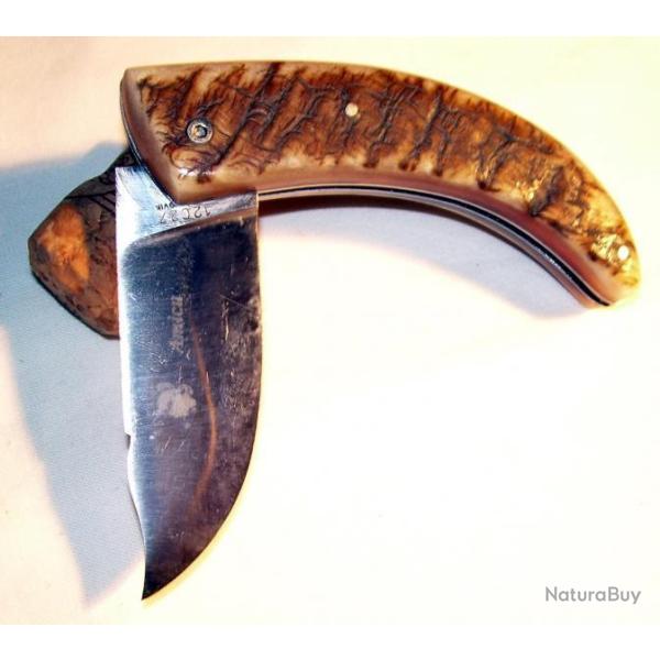 AMICU corne B�LIER brute  Grav� GRATUIT Pr�nom sur lame Couteau d'Artisan