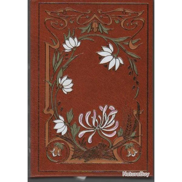 TARTARIN DE TARASCON - TARTARIN SUR LES ALPES - PORT-TARASCON - Alphonse Daudet