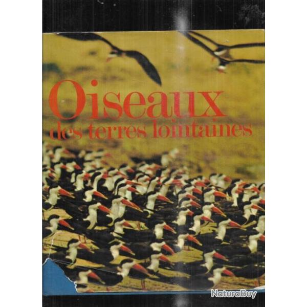 oiseaux des terres lointaines de hans d. dossenbach