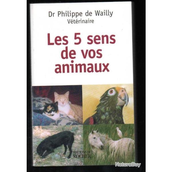les 5 sens de vos animaux dr philippe de wailly v�t�rinaire