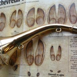 Trompe / Corne Milliens  de 35 cm